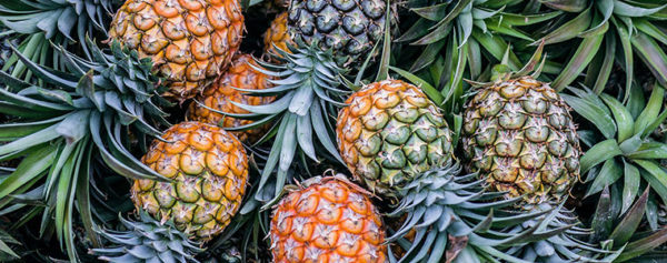 Hawaiian Pineapple Recipes & Pineapple Health Benefits - Royal Hawaiian